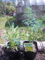 130403_105253.jpg
